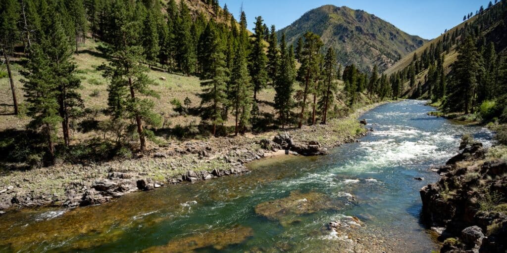 Middle Fork Salmon History